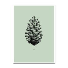 Paper Collective - Nature 1:1 Pine Cone Green 인테리어 포스터