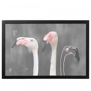 블루밍빌레 Flamingo with frame