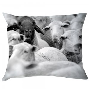 블루밍빌레 Sheeps Pillow 50x40cm