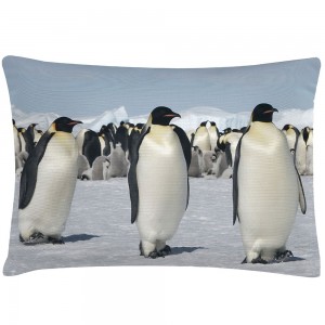 블루밍빌레 Penguins Pillow 70x35cm