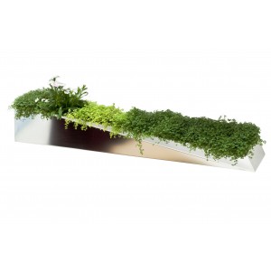 Miroir en Herbe Planter