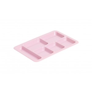 Cantine Tray - / Compartmentalised